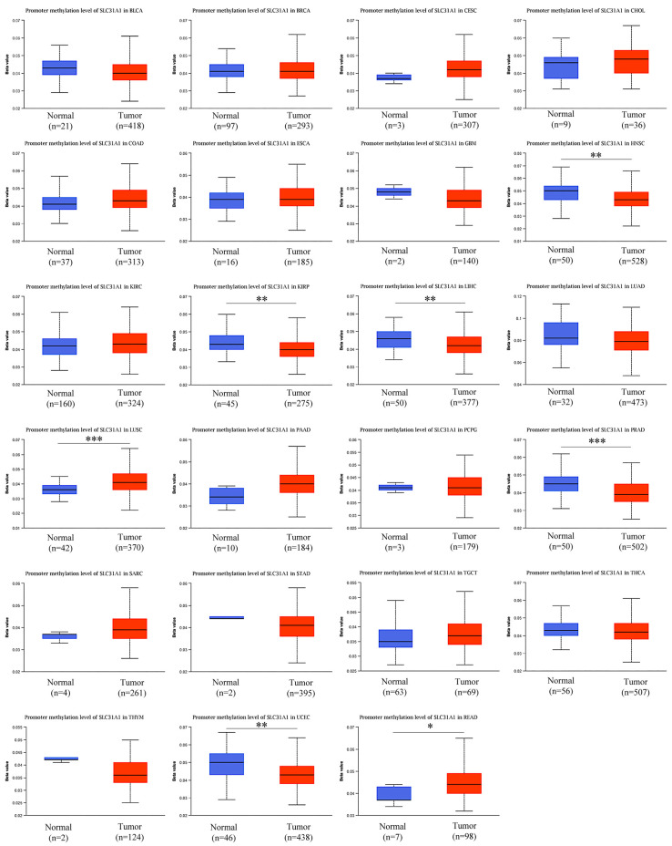 PMC10669416 – biomedicines-11-02884-f006