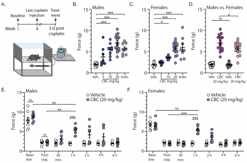 PMC10813533 – biomedicines-12-00083-f002