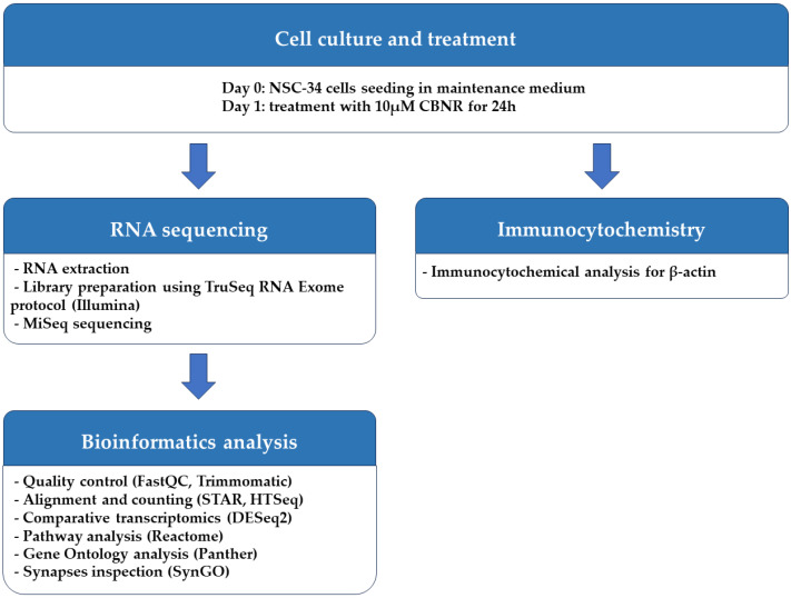 PMC10813620 – biomedicines-12-00189-f001