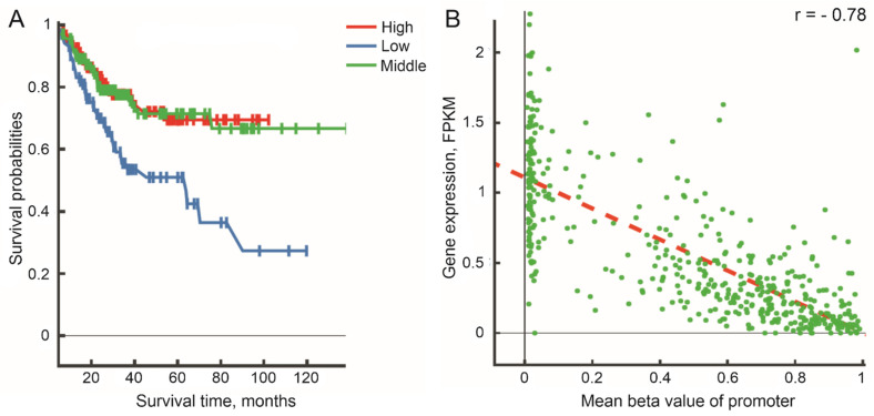 PMC10968066 – biomedicines-12-00544-f002