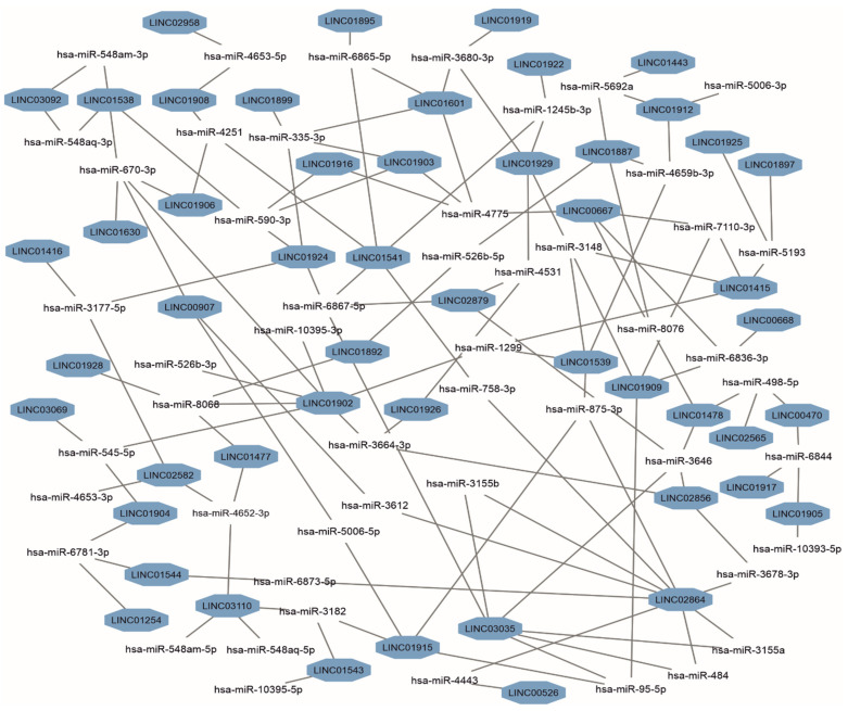 PMC10968066 – biomedicines-12-00544-f003