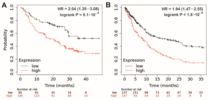 PMC10968066 – biomedicines-12-00544-f004