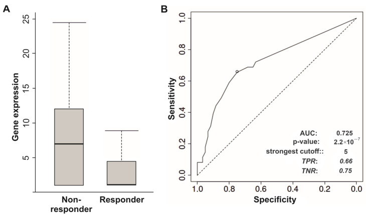 PMC10968066 – biomedicines-12-00544-f005