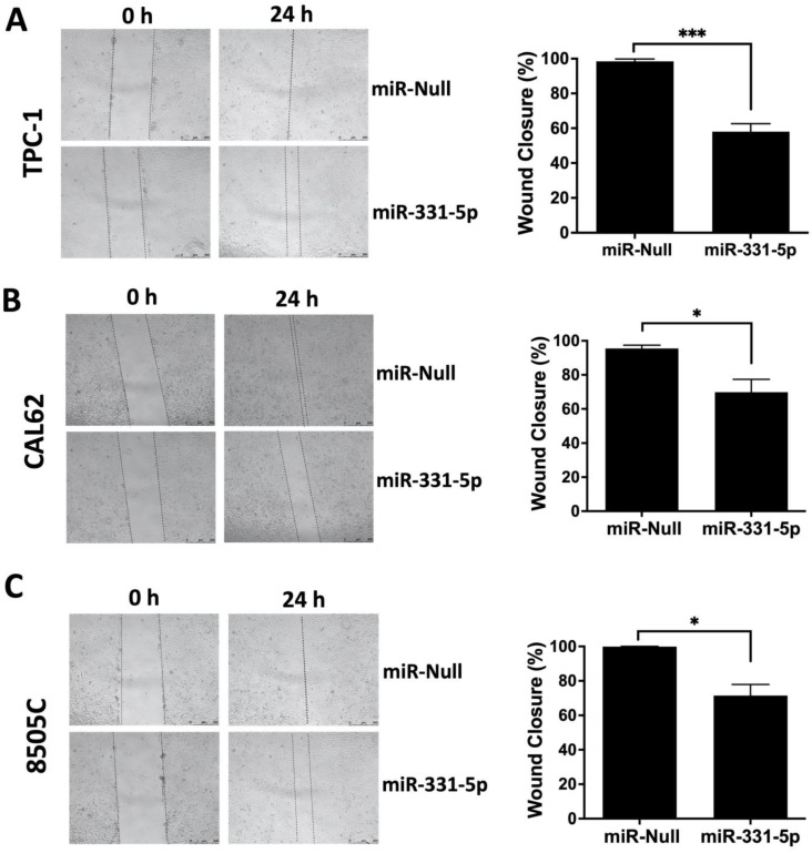 PMC10968654 – biomedicines-12-00658-f001