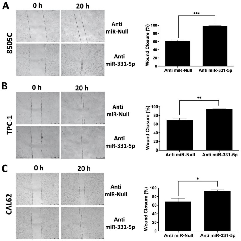 PMC10968654 – biomedicines-12-00658-f002