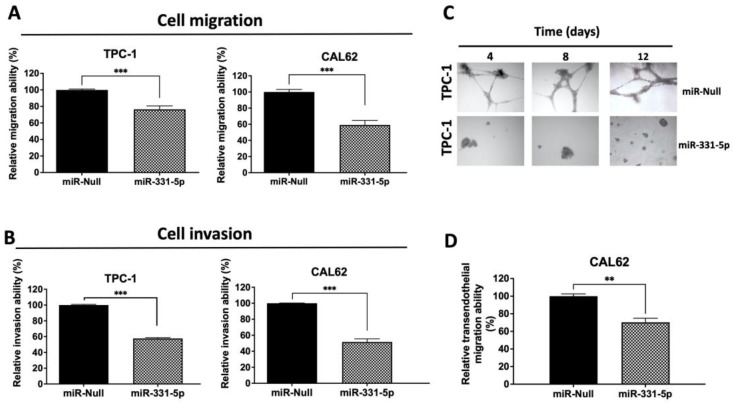 PMC10968654 – biomedicines-12-00658-f003