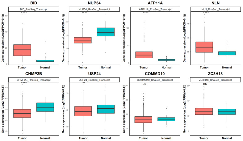 PMC10968654 – biomedicines-12-00658-f004