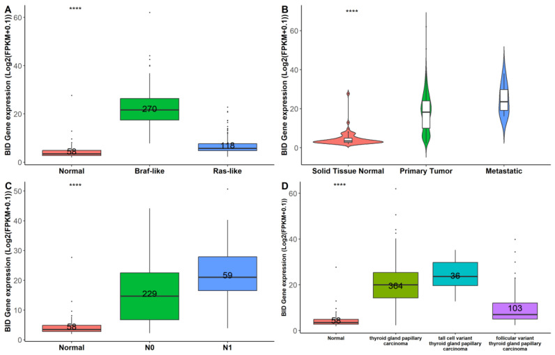 PMC10968654 – biomedicines-12-00658-f005