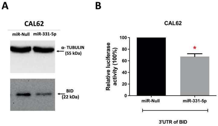 PMC10968654 – biomedicines-12-00658-f007