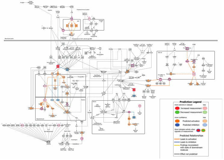 PMC11201189 – biomedicines-12-01215-f002