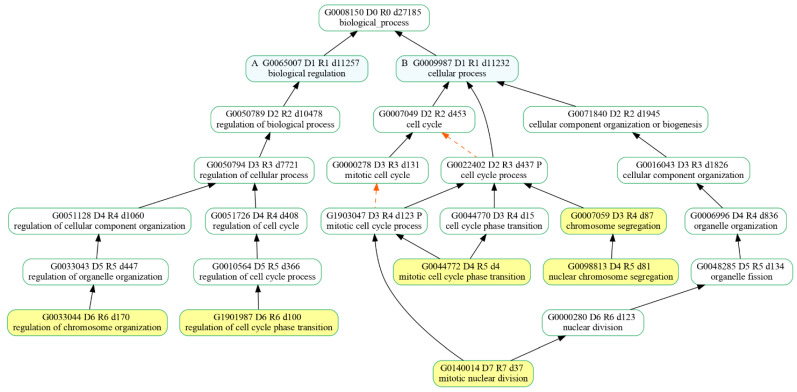PMC11201772 – biomedicines-12-01340-f006