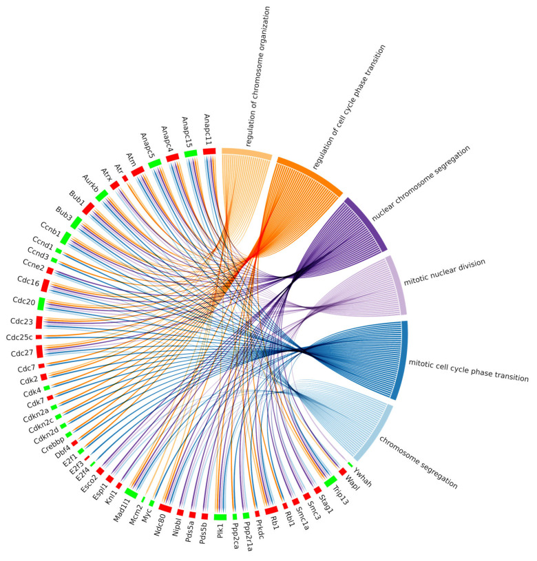 PMC11201772 – biomedicines-12-01340-f007