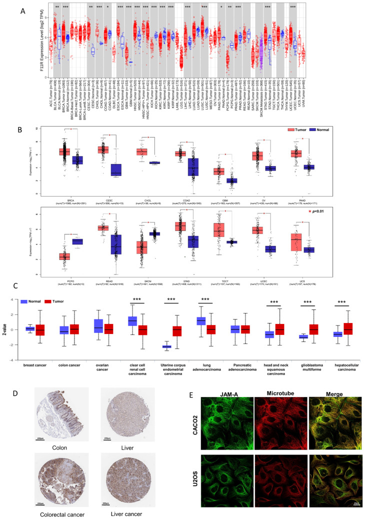 PMC11275048 – biomedicines-12-01423-f001