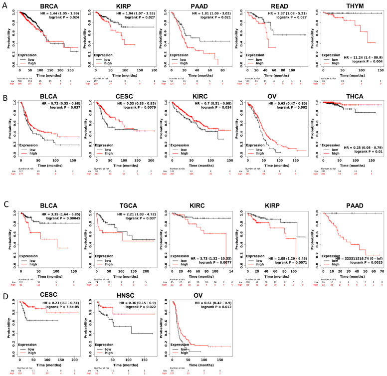PMC11275048 – biomedicines-12-01423-f003