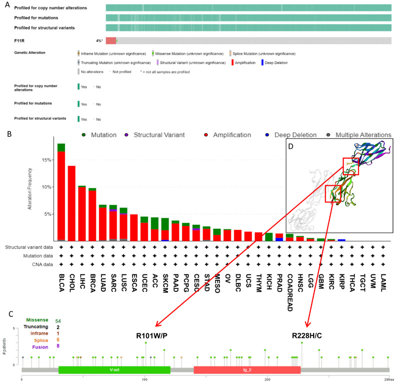 PMC11275048 – biomedicines-12-01423-f004