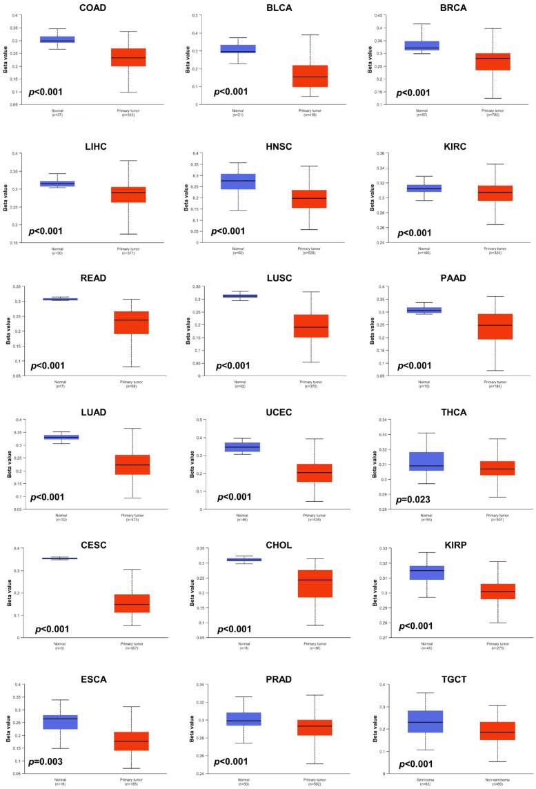 PMC11275048 – biomedicines-12-01423-f005