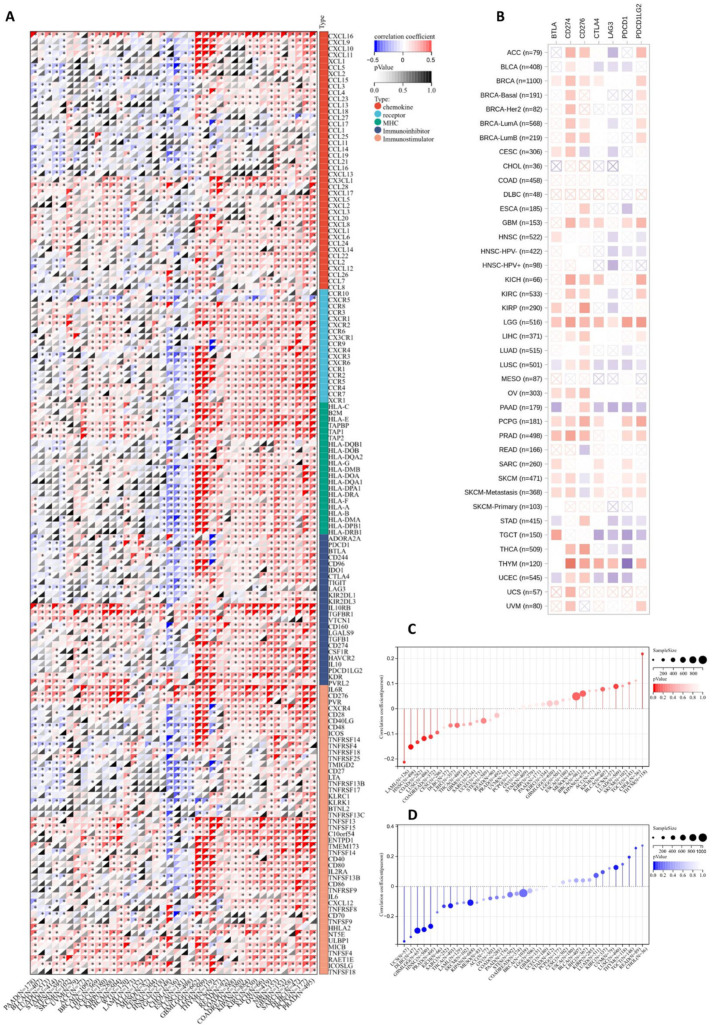 PMC11275048 – biomedicines-12-01423-f008