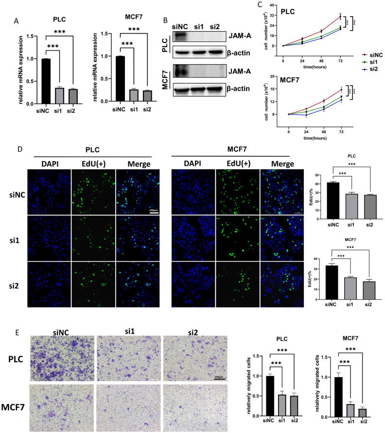 PMC11275048 – biomedicines-12-01423-f010