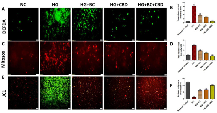 PMC11274582 – biomedicines-12-01442-f003