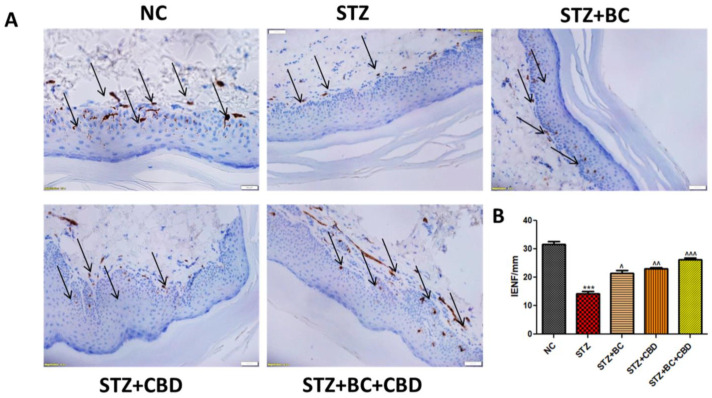 PMC11274582 – biomedicines-12-01442-f012