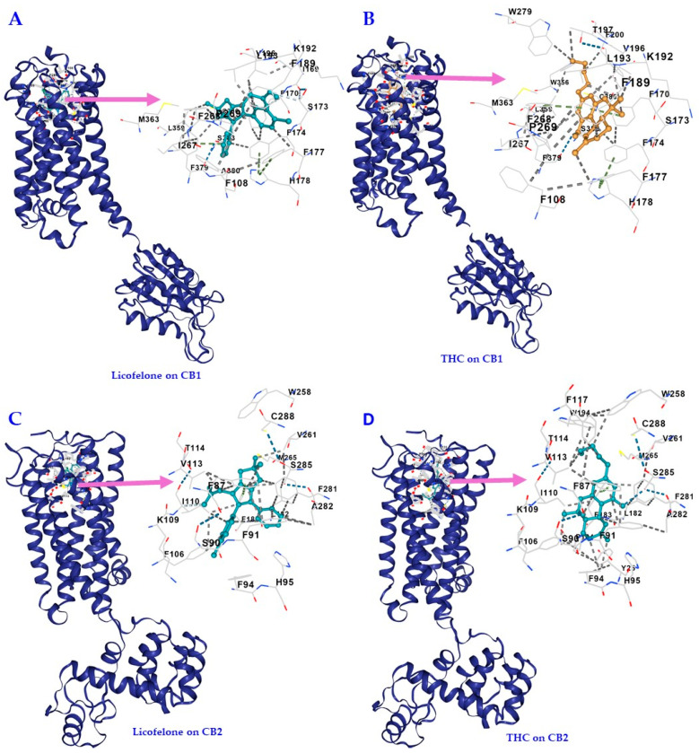PMC11274467 – biomedicines-12-01545-f004