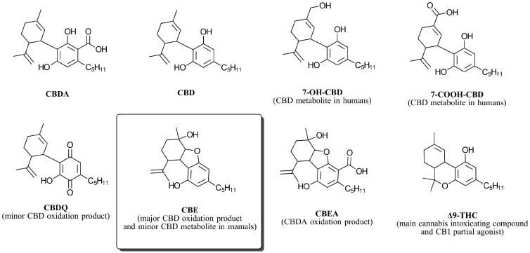 PMC11275175 – biomedicines-12-01551-f001