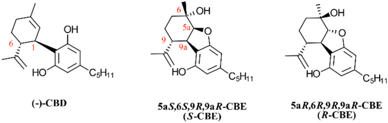 PMC11275175 – biomedicines-12-01551-f002