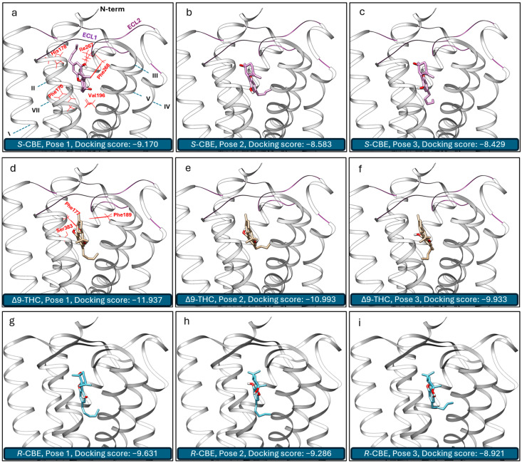 PMC11275175 – biomedicines-12-01551-f005