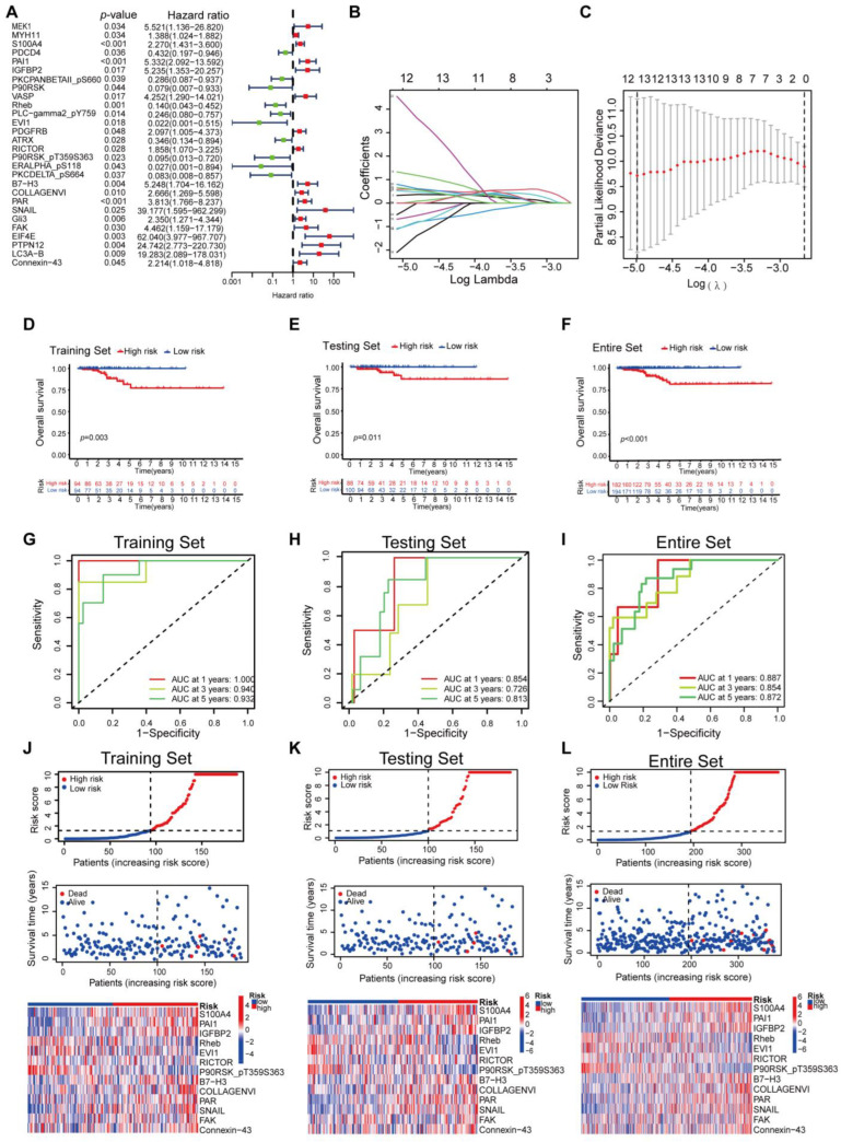 PMC11428938 – biomedicines-12-02066-f001