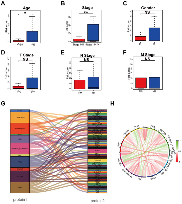 PMC11428938 – biomedicines-12-02066-f003