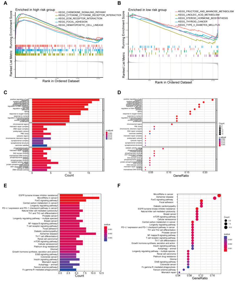 PMC11428938 – biomedicines-12-02066-f004