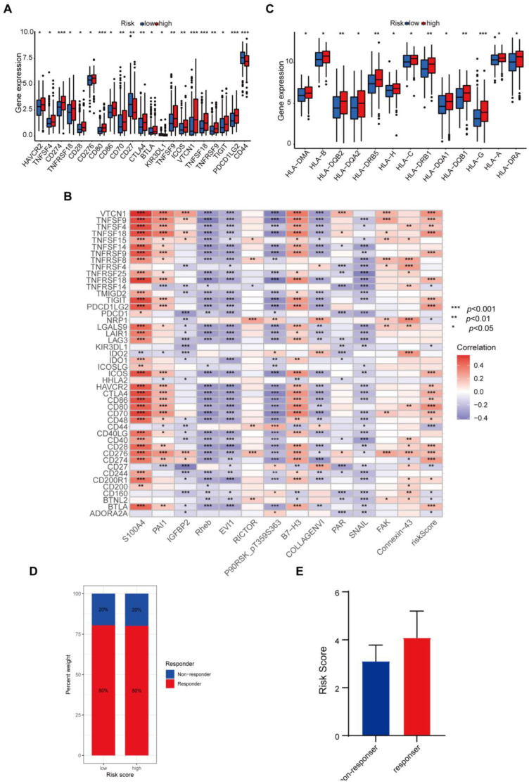 PMC11428938 – biomedicines-12-02066-f006