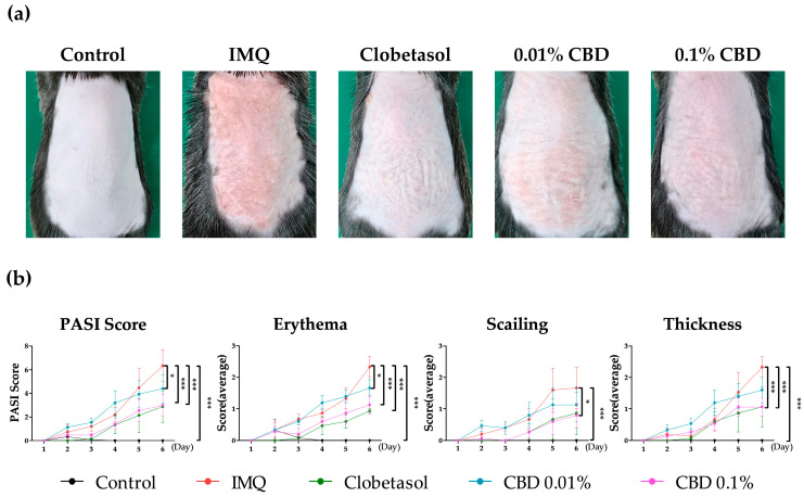 PMC11428822 – biomedicines-12-02084-f002