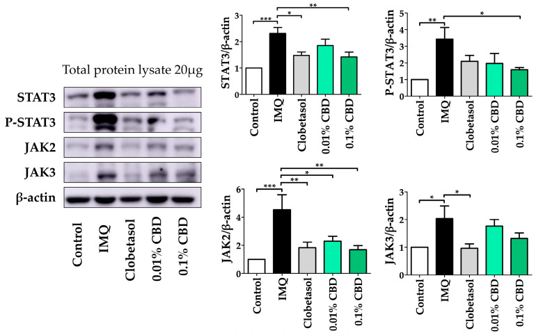 PMC11428822 – biomedicines-12-02084-f005