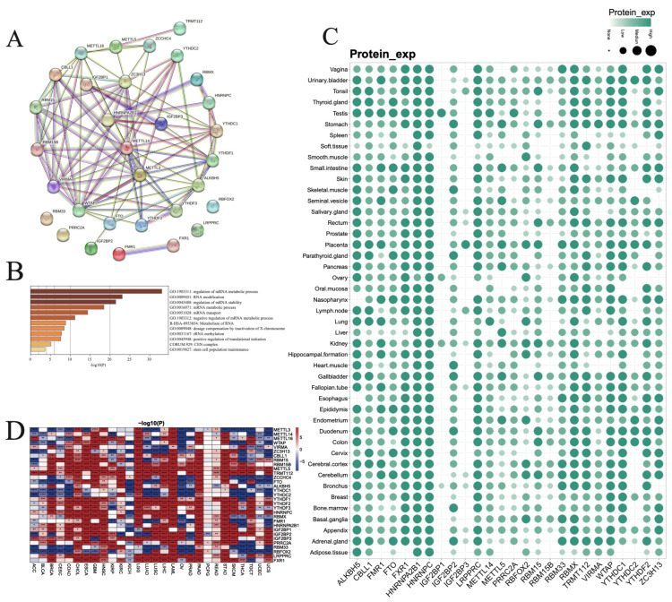 PMC11504890 – biomedicines-12-02211-f001