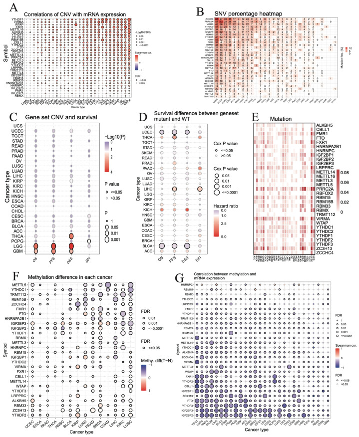 PMC11504890 – biomedicines-12-02211-f003