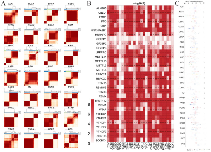 PMC11504890 – biomedicines-12-02211-f004