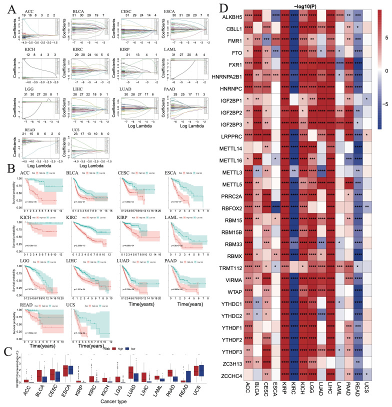 PMC11504890 – biomedicines-12-02211-f005