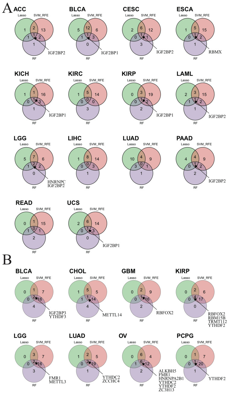 PMC11504890 – biomedicines-12-02211-f008