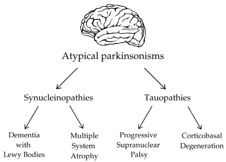 PMC11504037 – biomedicines-12-02257-f002