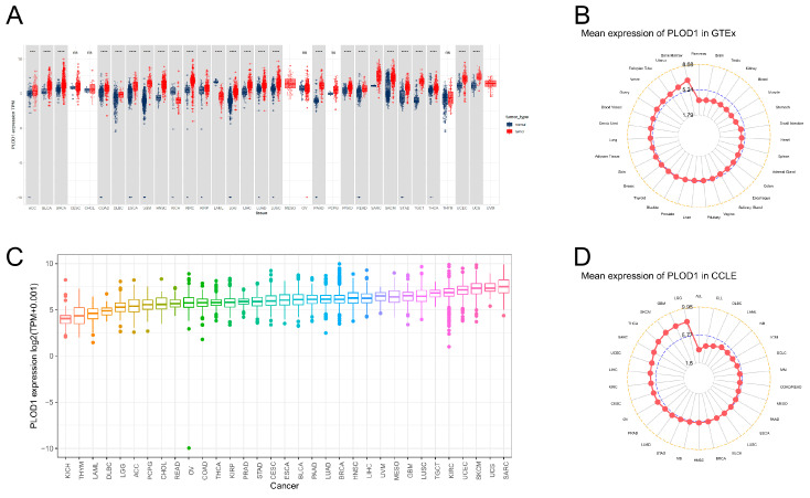 PMC11673125 – biomedicines-12-02653-f001