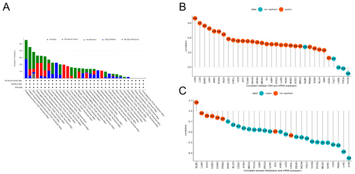 PMC11673125 – biomedicines-12-02653-f002