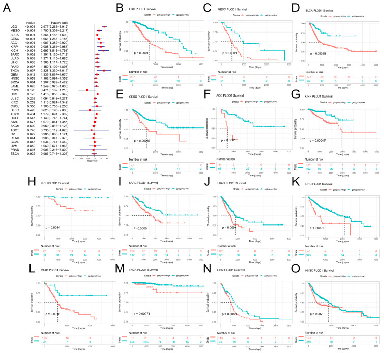 PMC11673125 – biomedicines-12-02653-f003