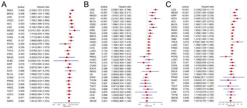PMC11673125 – biomedicines-12-02653-f004