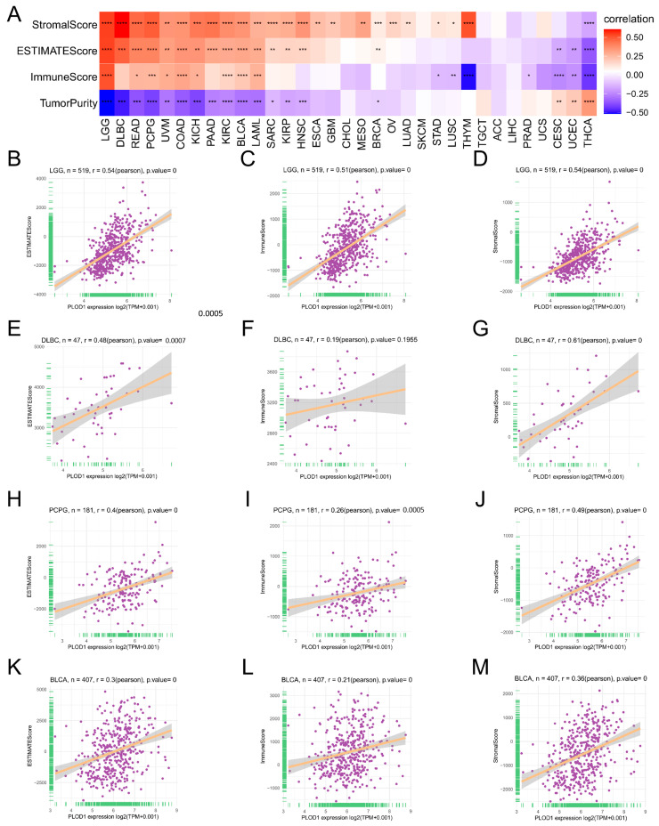 PMC11673125 – biomedicines-12-02653-f005