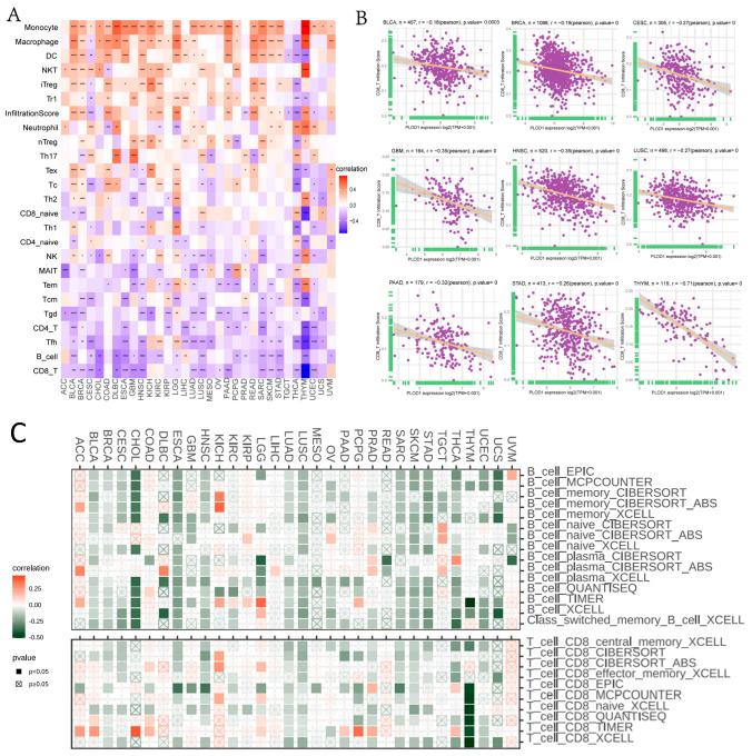 PMC11673125 – biomedicines-12-02653-f006