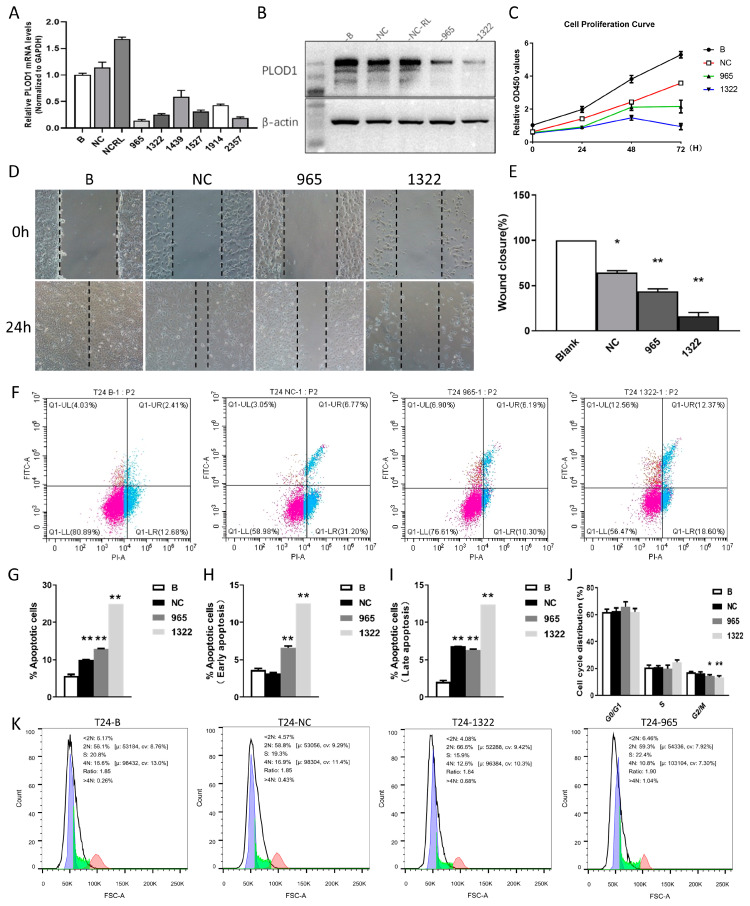 PMC11673125 – biomedicines-12-02653-f010