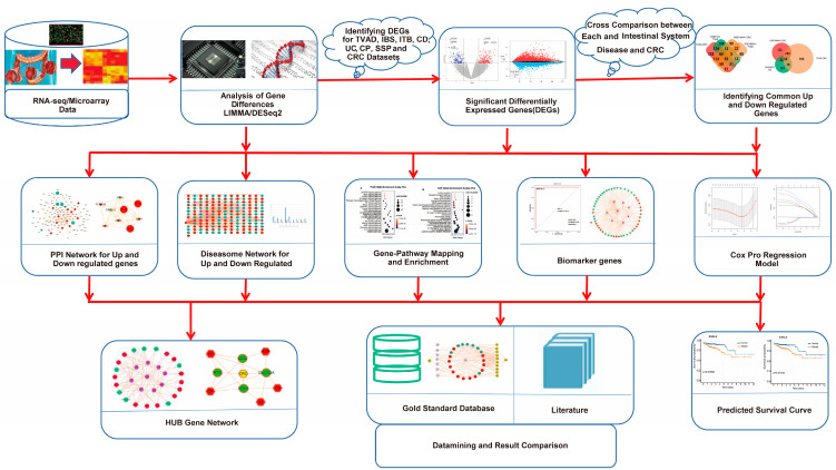 PMC11673540 – biomedicines-12-02656-f001