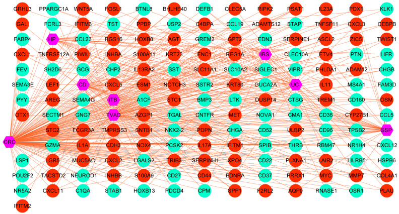 PMC11673540 – biomedicines-12-02656-f002
