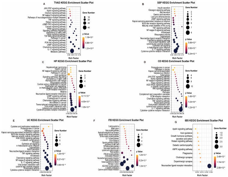 PMC11673540 – biomedicines-12-02656-f003